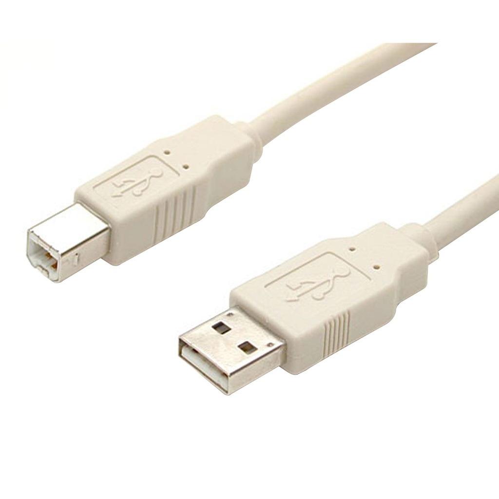 Cable USB A to B M/M 15ft