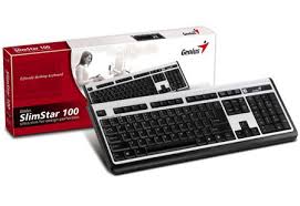 Genius Teclado SlimStar100 Negro PS/2